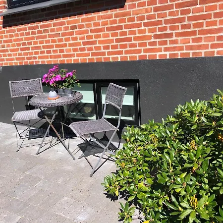 Nyistandsat Hojloftet Kaelderlejlighed Pa 70 M2 I Centrum, Med Plads Til 4 Personer דירה *