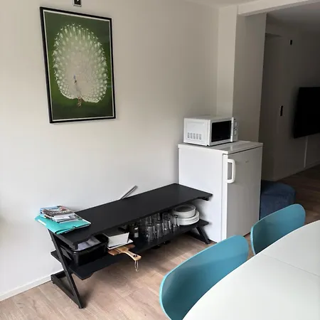 Nyistandsat Hojloftet Kaelderlejlighed Pa 70 M2 I Centrum, Med Plads Til 4 Personer דירה *