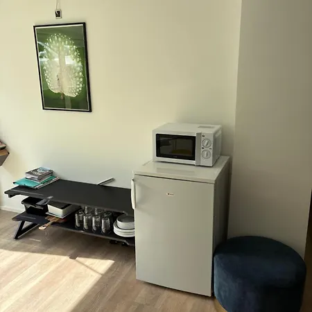 Nyistandsat Hojloftet Kaelderlejlighed Pa 70 M2 I Centrum, Med Plads Til 4 Personer דירה וויבורג